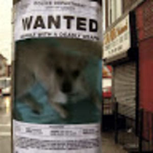 Meet your Posher, Marta